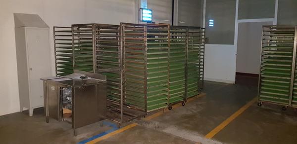 1#3172 Macchinari per la produzione gastronomica e panificazione in vendita - foto 40