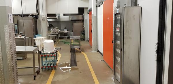1#3172 Macchinari per la produzione gastronomica e panificazione in vendita - foto 49