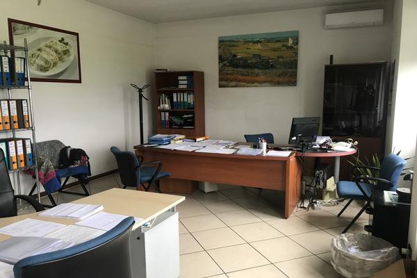 1#3172 Macchinari per la produzione gastronomica e panificazione in vendita - foto 106