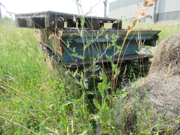 1#3175 Lamiere Hardox e cilindri oleodinamici in vendita - foto 18