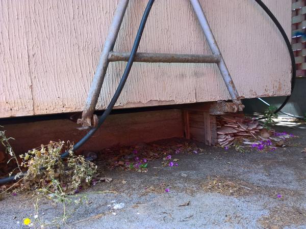 3#3176 Casetta prefabbricata trasportabile in vendita - foto 3