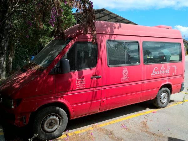 6#3177 Minibus Mercedes Sprinter con aut noleggio con conducente in vendita - foto 7