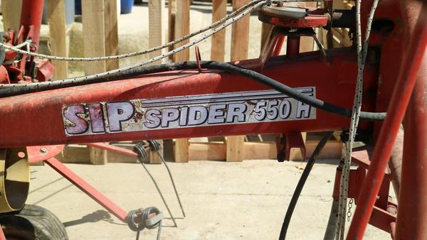 4#3231 Ranghinatore Spider in vendita - foto 2