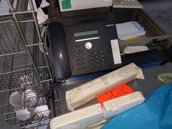 3#3253 Celle frigorifere e attrezzatura da supermercato in vendita - foto 42