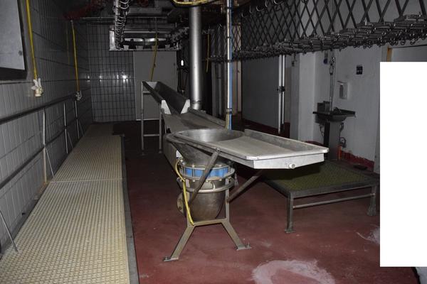 16#3256 Sistema espulsione viscere in vendita - foto 1