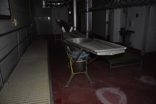 16#3256 Sistema espulsione viscere in vendita - foto 2