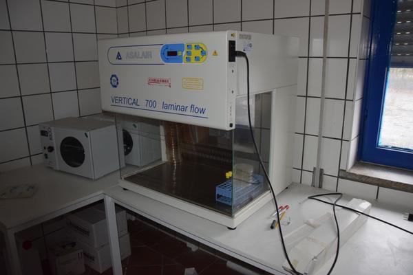 61#3256 Box Isco e Asalair in vendita - foto 8