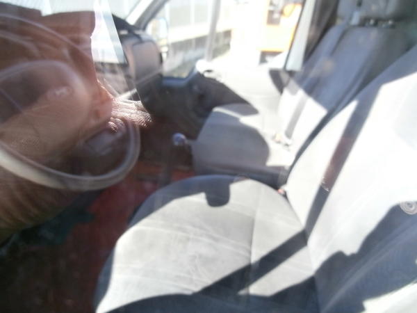 9#3278 Furgone Ford Transit 350 in vendita - foto 3