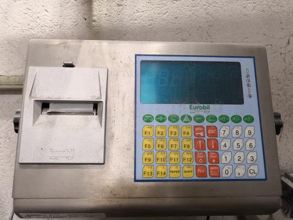 12#3295 Piattaforma pesa 4 celle Pvm Iscale in vendita - foto 1