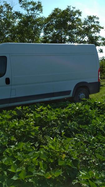 1#3306 Fiat Ducato Maxi in vendita - foto 12