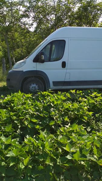 1#3306 Fiat Ducato Maxi in vendita - foto 13