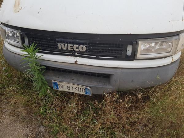 16#3346 Autocarro Iveco 35C 14 V in vendita - foto 2