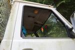 Immagine 20 - Autocarro Iveco Daily 35-8 - Lotto 6 (Asta 3365)
