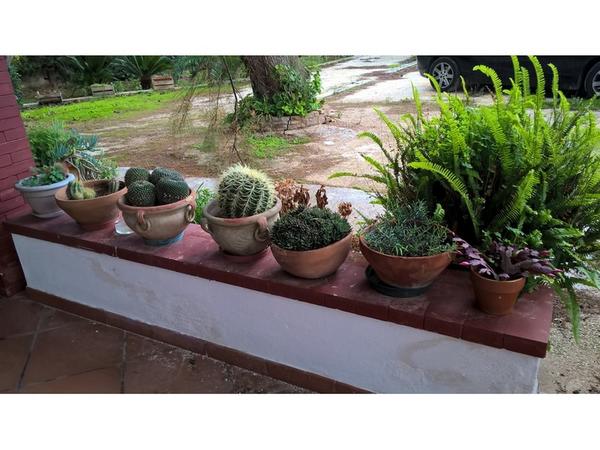 2#3375 Arredi per interni ed esterni in vendita - foto 1