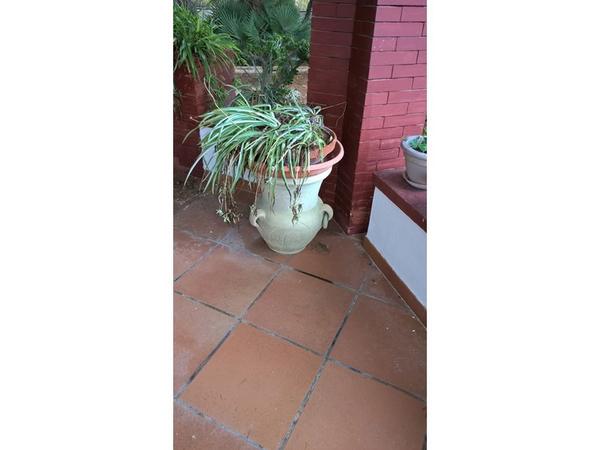 2#3375 Arredi per interni ed esterni in vendita - foto 75