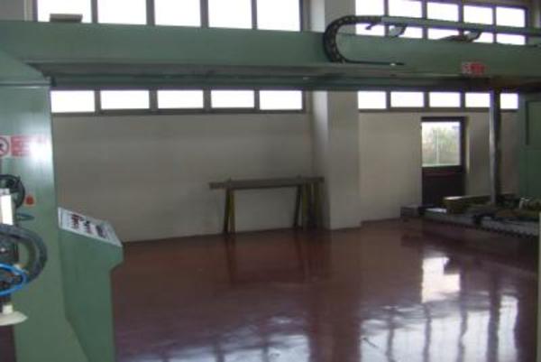 46#3388 Scaricatore per sezionatrice Sag in vendita - foto 2