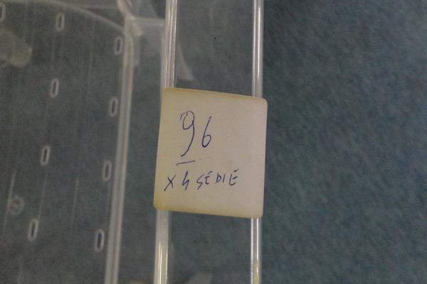 1#3392 Arredi per esterno Emu e Varaschin in vendita - foto 401