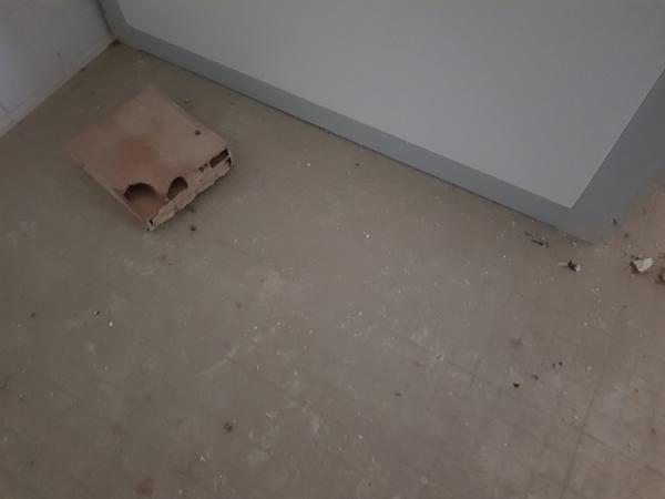 17#3428 Cella Frigo in vendita - foto 6