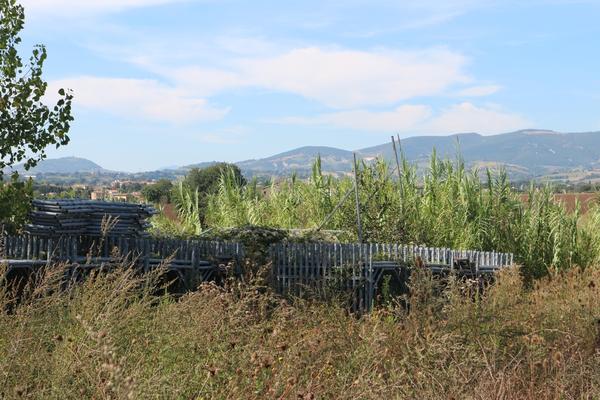 3#3430 Attrezzatura edile in vendita - foto 1