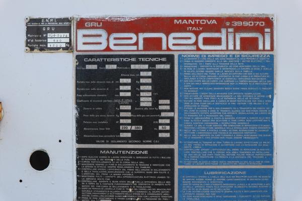 6#3430 Gru Benedini in vendita - foto 4