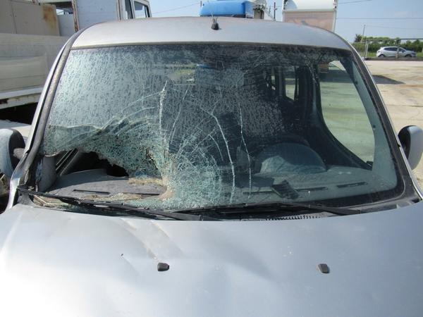 4#3441 Veicoli Fiat e Iveco in vendita - foto 58