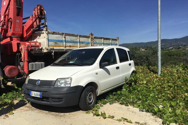 1#3446 Automobile Fiat Panda in vendita - foto 1