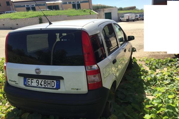 1#3446 Automobile Fiat Panda in vendita - foto 4