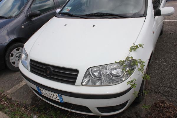 10016#3450 Autovettura Fiat Punto MJT 16V in vendita - foto 5