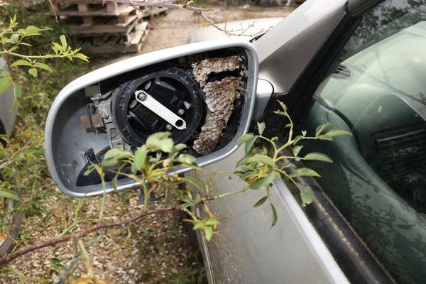1#3454 Cessione del ramo di azienda S.C.O.T. SRL in vendita - foto 162
