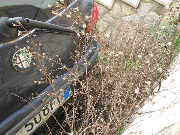 1#3465 Autovettura Alfa Romeo 147 in vendita - foto 8