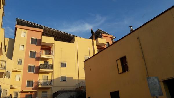 1#3490 Impianto fotovoltaico per la produzione di energia elettrica in vendita - foto 6