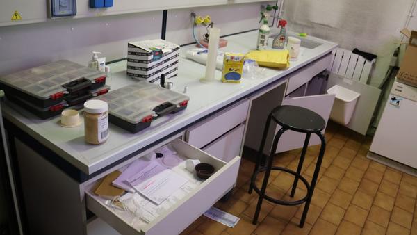 1#3503 Arredi e attrezzature da laboratorio in vendita - foto 2