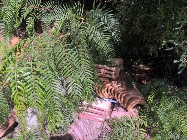 4#3509 Tegole in vendita - foto 3