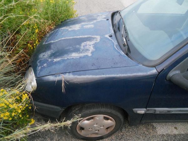 7#3519 Autovettura Citroen Saxo in vendita - foto 5