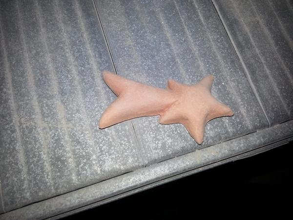 5#3522 Oggettistica in terracotta grezza in vendita - foto 4