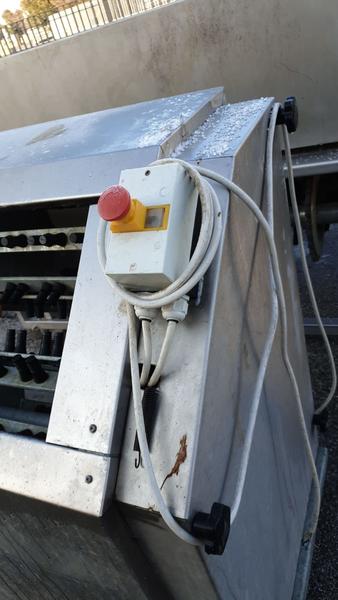 25#3529 Spennatrice polli artigianale in vendita - foto 3