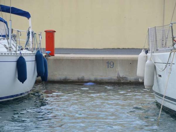 2542#3553 Posto barca PORTO SAN LORENZO AL MARE di IMPERIA in vendita - foto 3