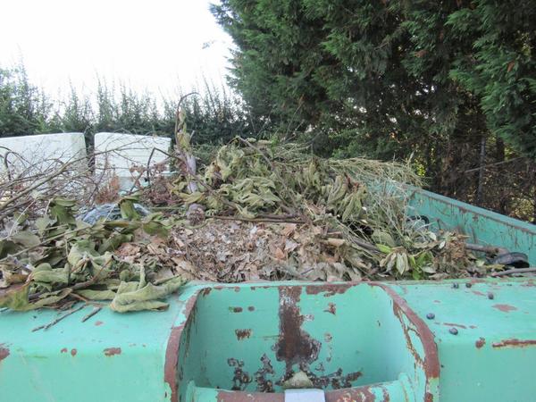 2060#3561 Container Locatelli Eurocontainers in vendita - foto 6