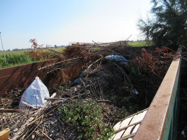 2070#3561 Container a cielo aperto Longo in vendita - foto 7