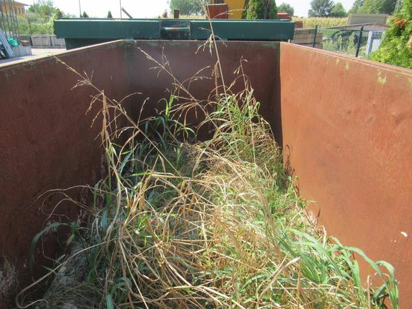 2071#3561 Container in vendita - foto 3