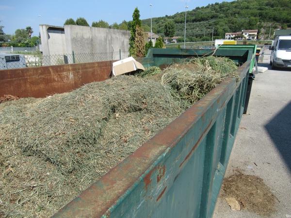 2073#3561 Container a cielo aperto Longo in vendita - foto 5