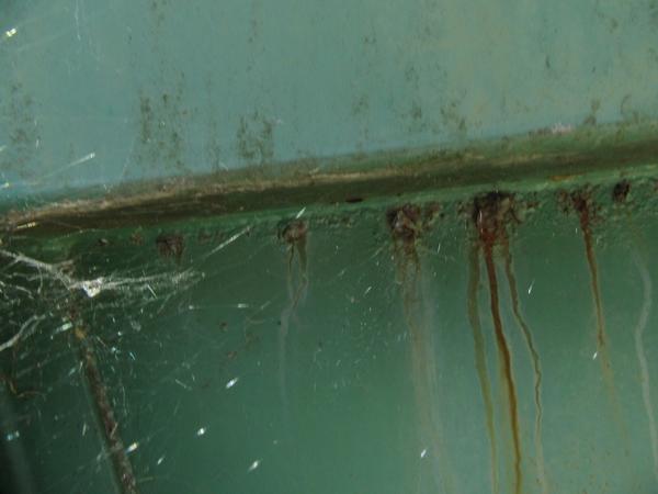 2081#3561 Container con coperchio BTE in vendita - foto 6