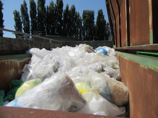 2081#3561 Container con coperchio BTE in vendita - foto 7