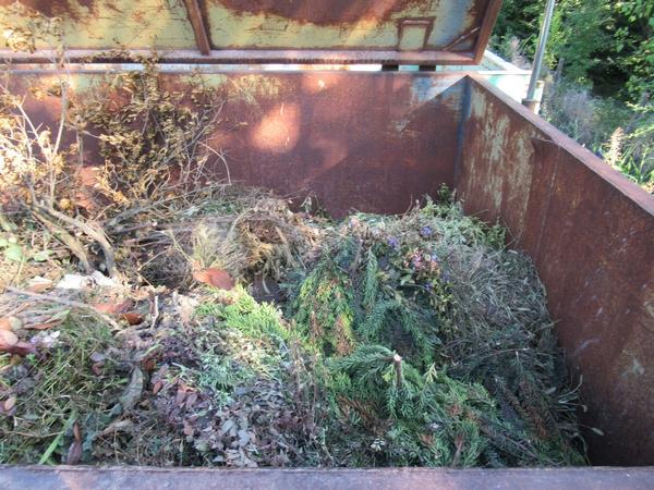 2104#3561 Container Boschi in vendita - foto 6