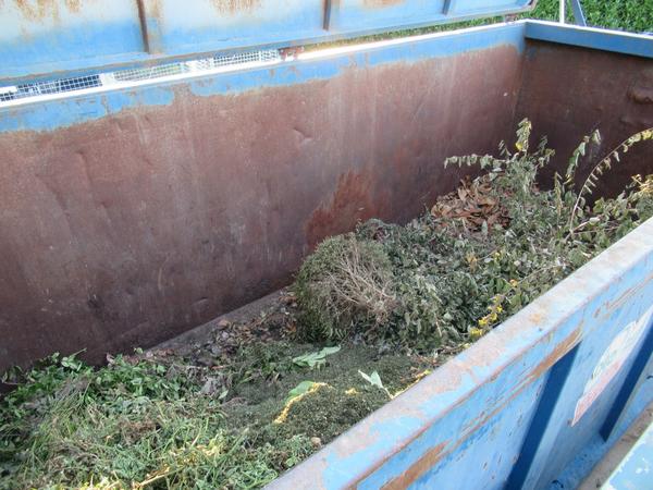 2114#3561 Container con coperchio BTE in vendita - foto 7