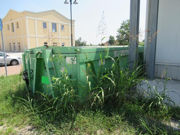 2146#3561 Container Locatelli Eurocontainers in vendita - foto 4