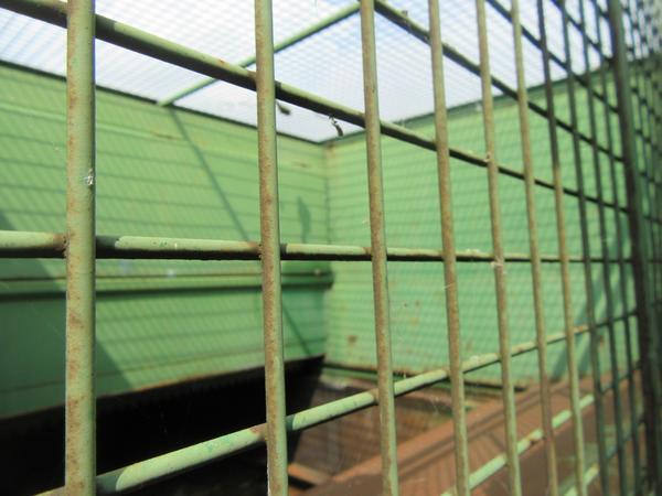 2192#3561 Container con coperchio BTE in vendita - foto 5