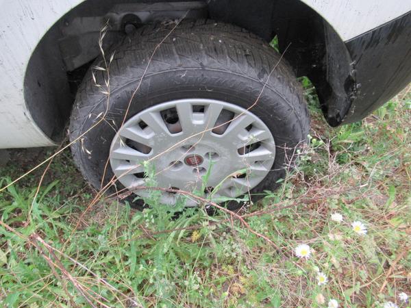 14#3562 Autocarro Fiat Fiorino in vendita - foto 7