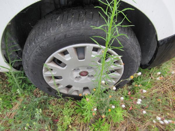 14#3562 Autocarro Fiat Fiorino in vendita - foto 8