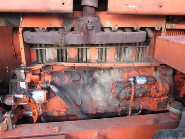 9#3595 Rullo Hamm ferro gomma a piedi di montone in vendita - foto 14
